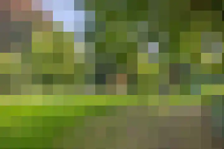 Koleind 36 Veldhoven thumbnail 34
