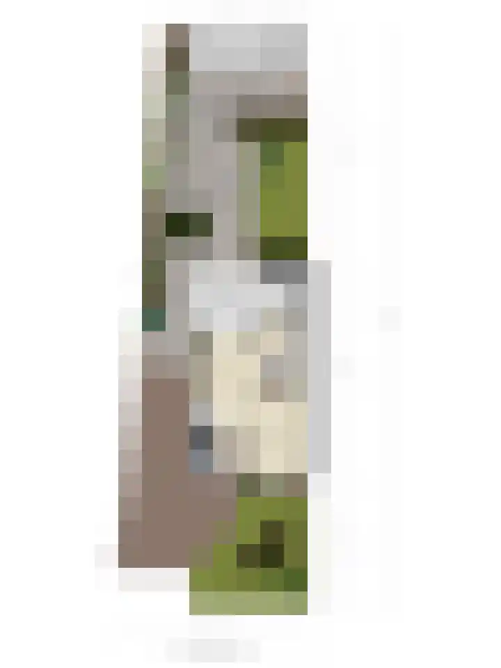 Koleind 36 Veldhoven thumbnail 39