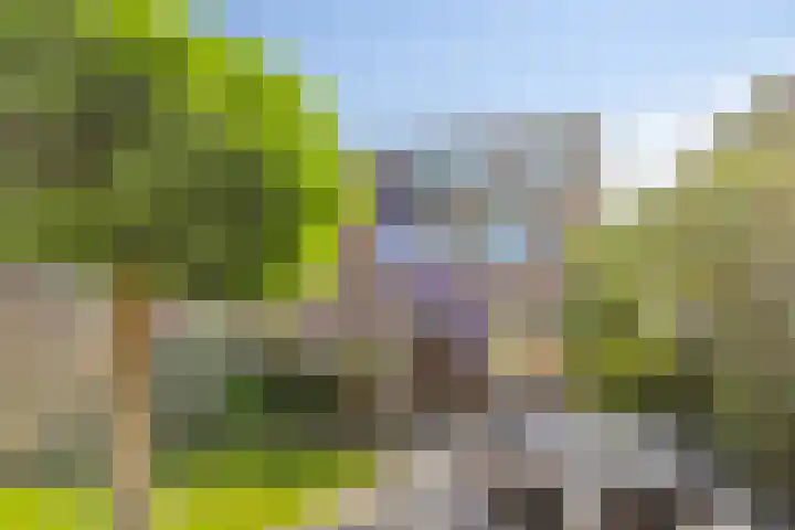 Koleind 36 Veldhoven thumbnail 4