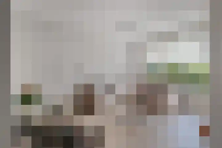 Koleind 36 Veldhoven thumbnail 6