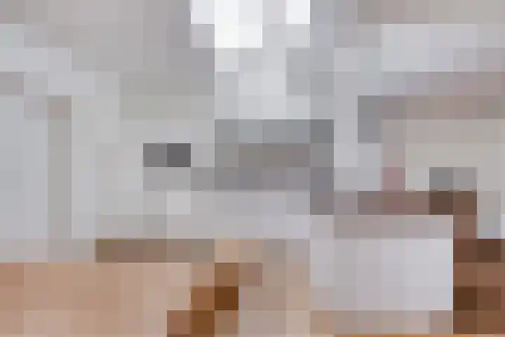 Koleind 41 Veldhoven thumbnail 10