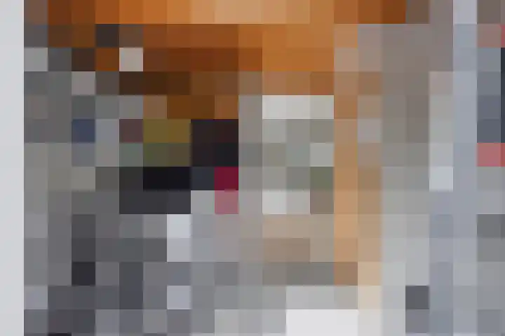 Koleind 41 Veldhoven thumbnail 14