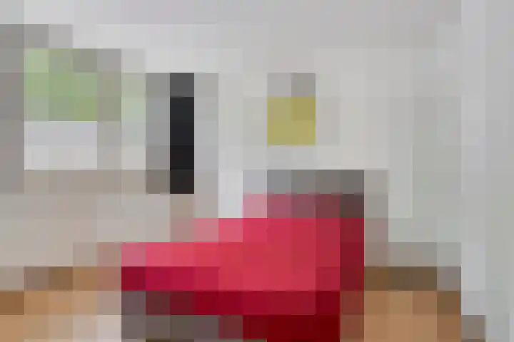 Koleind 41 Veldhoven thumbnail 22