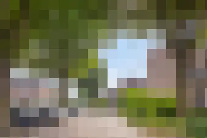 Koleind 41 Veldhoven thumbnail 31
