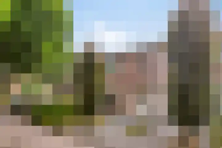 Koleind 41 Veldhoven thumbnail 32
