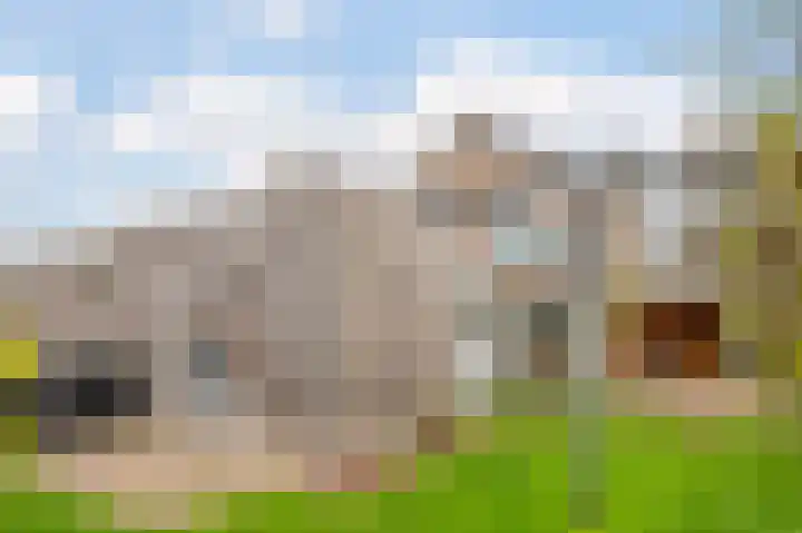 Kolenbergstraat 44 Blokker thumbnail 33
