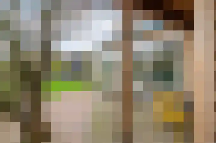 Kolenbergstraat 44 Blokker thumbnail 36