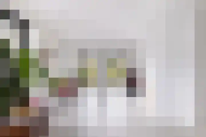 Kolenboer 19 Hendrik-Ido-Ambacht thumbnail 15