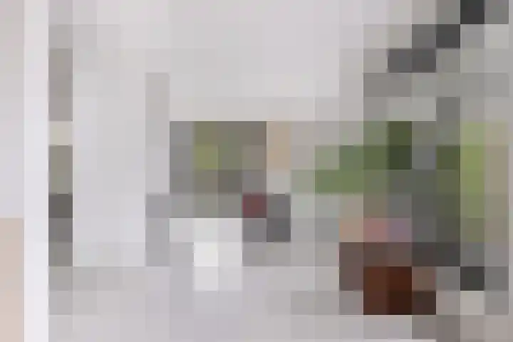 Kolenboer 19 Hendrik-Ido-Ambacht thumbnail 18