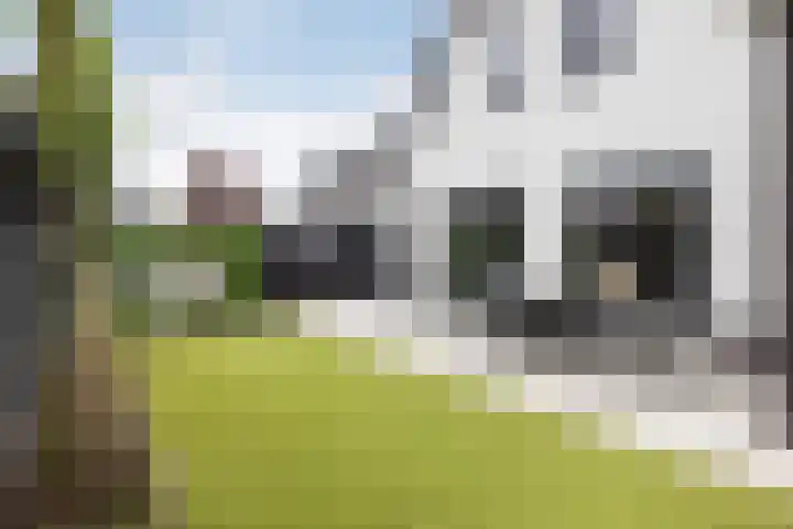 Kolenboer 19 Hendrik-Ido-Ambacht thumbnail 27