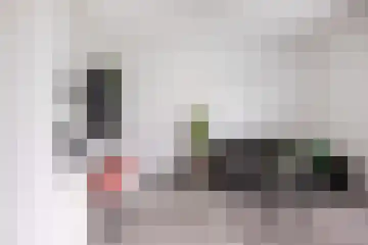 Kolenboer 19 Hendrik-Ido-Ambacht thumbnail 31