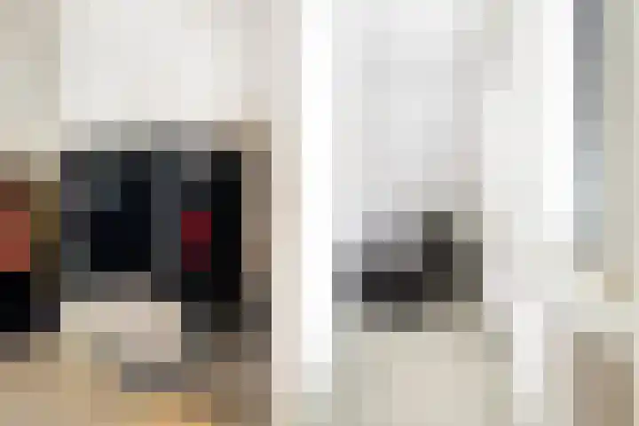 Kolenboer 19 Hendrik-Ido-Ambacht thumbnail 35