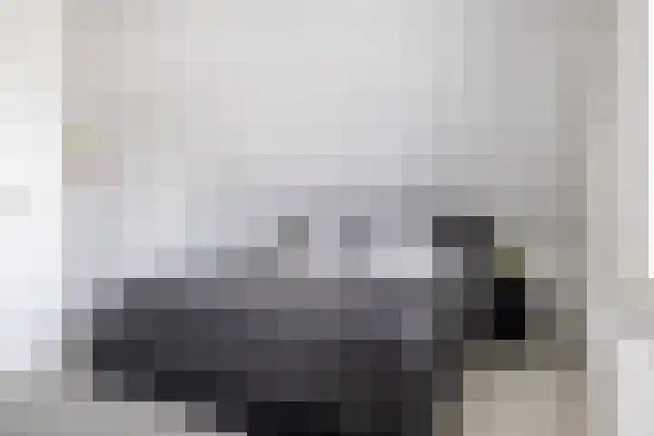 Kolenboer 19 Hendrik-Ido-Ambacht thumbnail 36