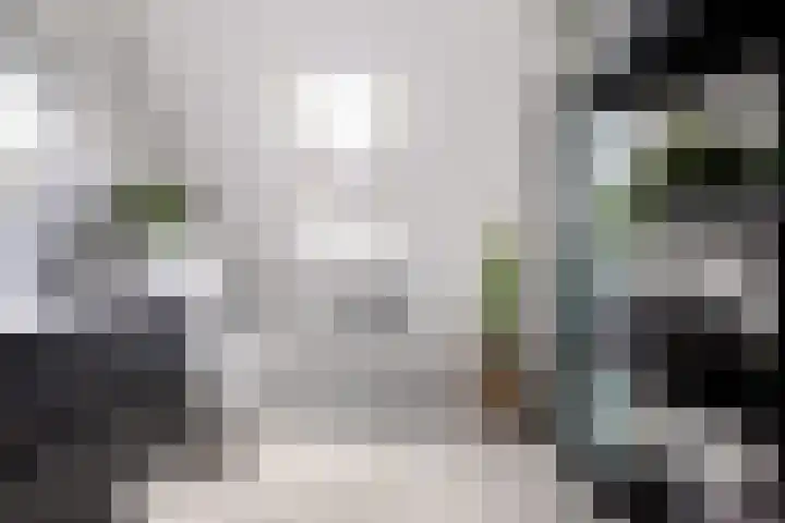 Kolenboer 19 Hendrik-Ido-Ambacht thumbnail 38