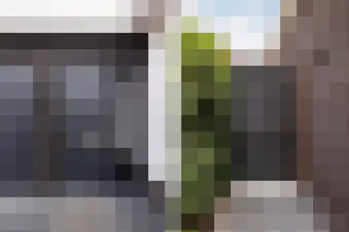 Kolenboer 19 Hendrik-Ido-Ambacht thumbnail 5