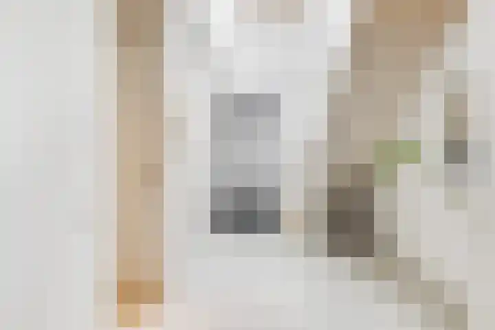 Kolenboer 19 Hendrik-Ido-Ambacht thumbnail 7