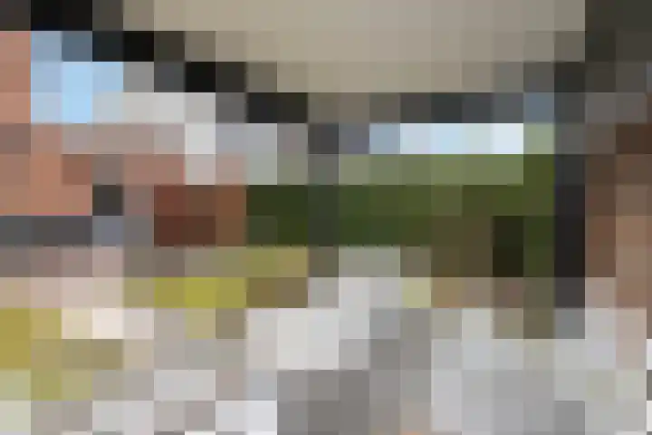 Kolenboer 6 Hendrik-Ido-Ambacht thumbnail 17
