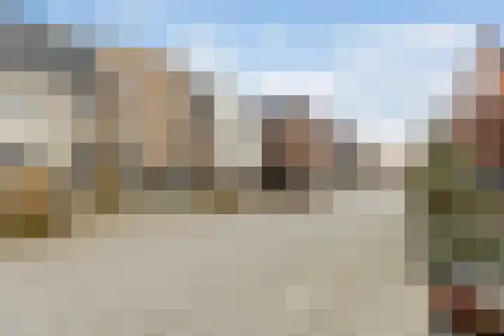 Kolenboer 6 Hendrik-Ido-Ambacht thumbnail 36