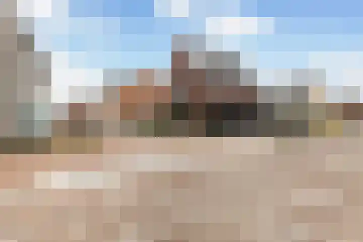 Kolenboer 6 Hendrik-Ido-Ambacht thumbnail 38