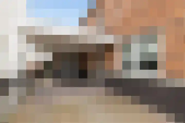 Kolenboer 6 Hendrik-Ido-Ambacht thumbnail 4