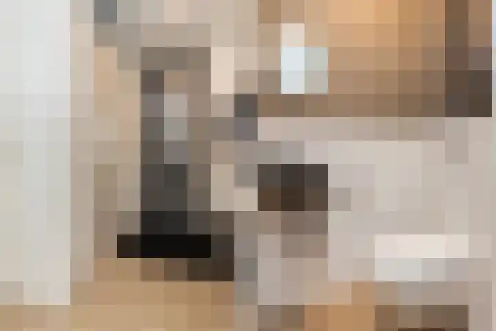 Kolenboer 6 Hendrik-Ido-Ambacht thumbnail 5