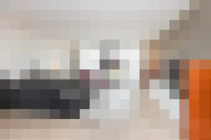 Kolenboer 6 Hendrik-Ido-Ambacht thumbnail 6