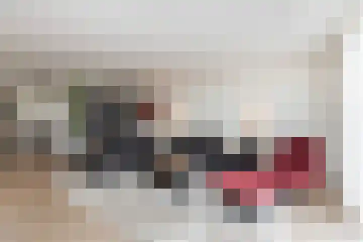 Kolenboer 6 Hendrik-Ido-Ambacht thumbnail 7