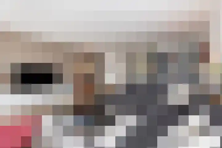 Kolenboer 6 Hendrik-Ido-Ambacht thumbnail 8