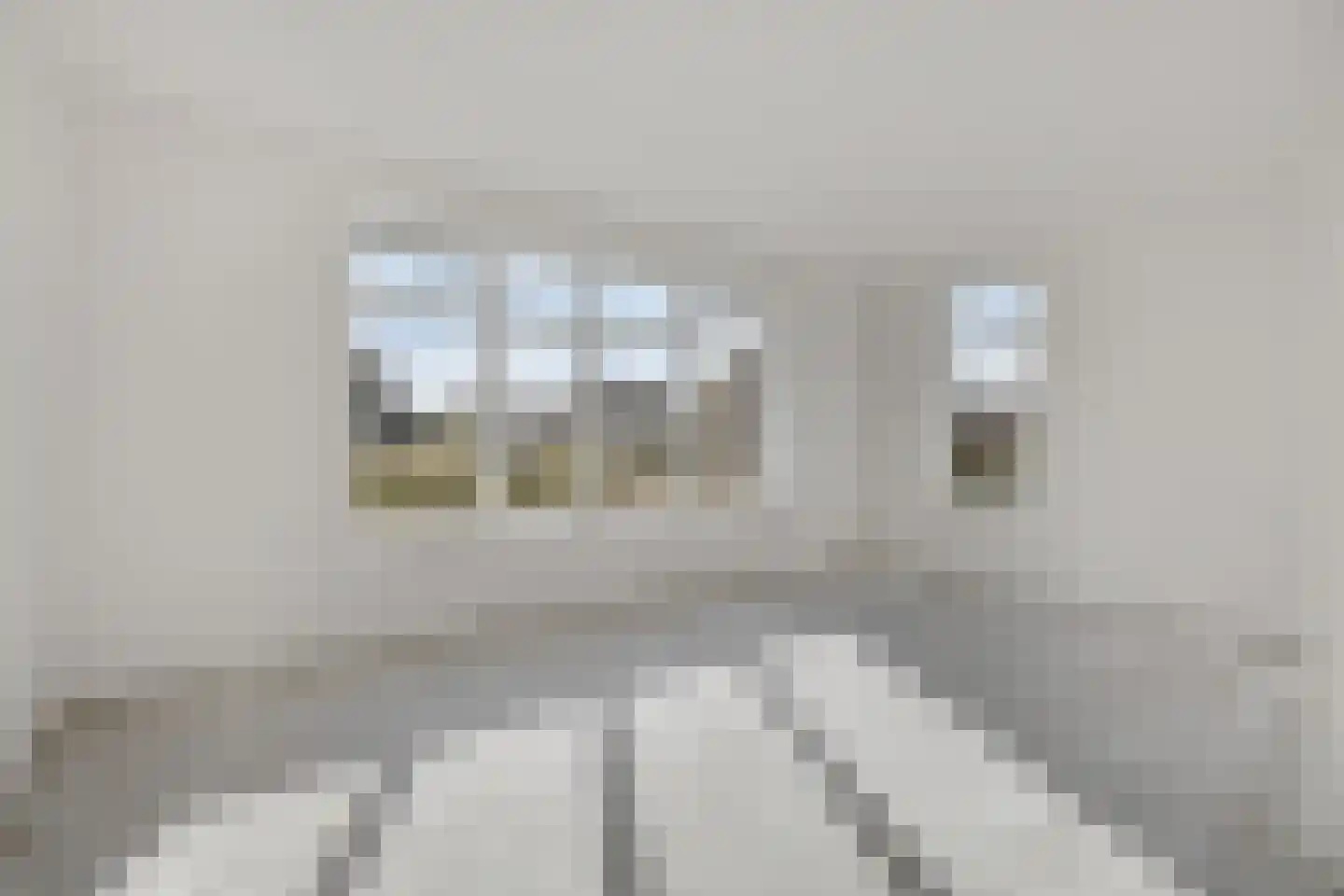 Kolenbrander 4 Wehl thumbnail 18