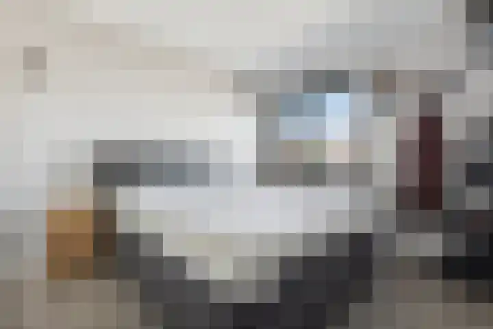 Kolenbranderslaan 16 Voorthuizen thumbnail 16