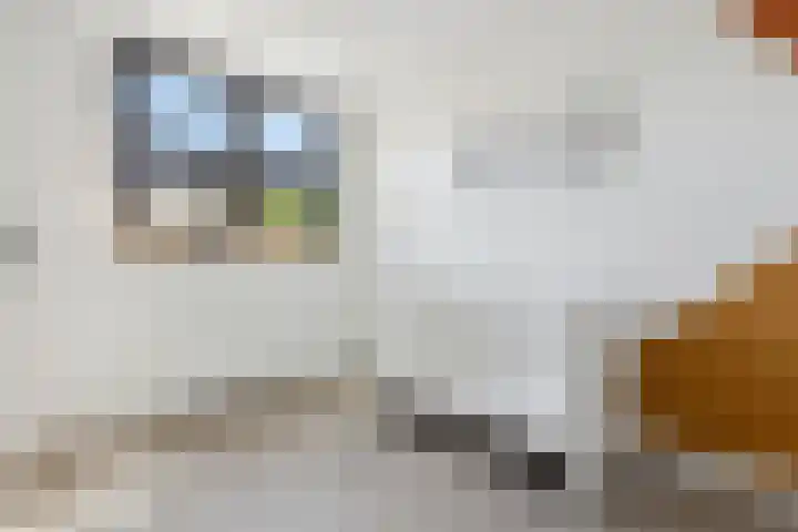 Kolenbranderslaan 16 Voorthuizen thumbnail 19