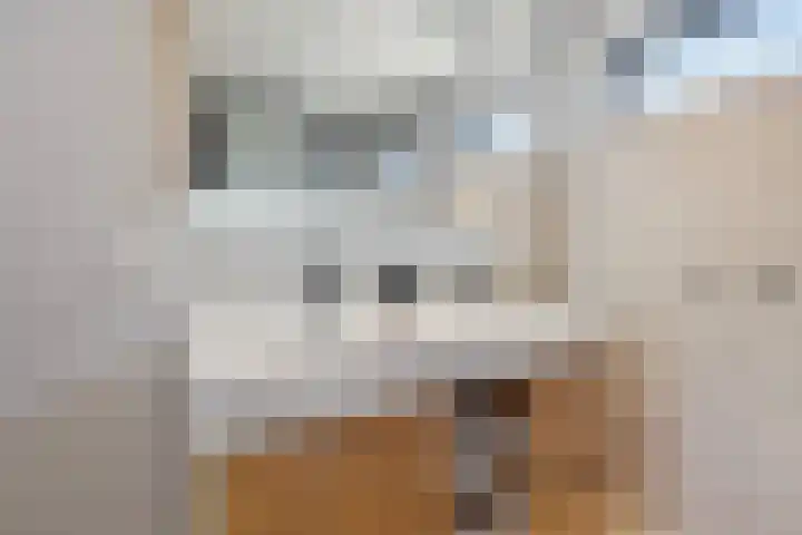 Kolenbranderslaan 16 Voorthuizen thumbnail 22