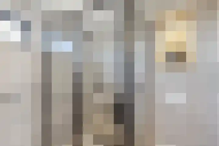 Kolenbranderslaan 16 Voorthuizen thumbnail 23
