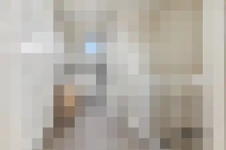 Kolenbranderslaan 16 Voorthuizen thumbnail 24