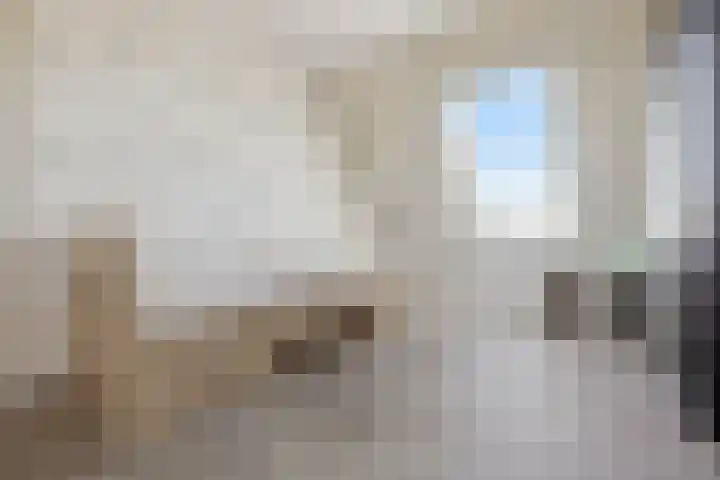 Kolenbranderslaan 16 Voorthuizen thumbnail 25