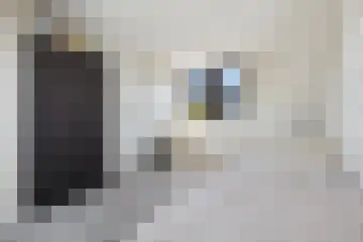 Kolenbranderslaan 16 Voorthuizen thumbnail 26