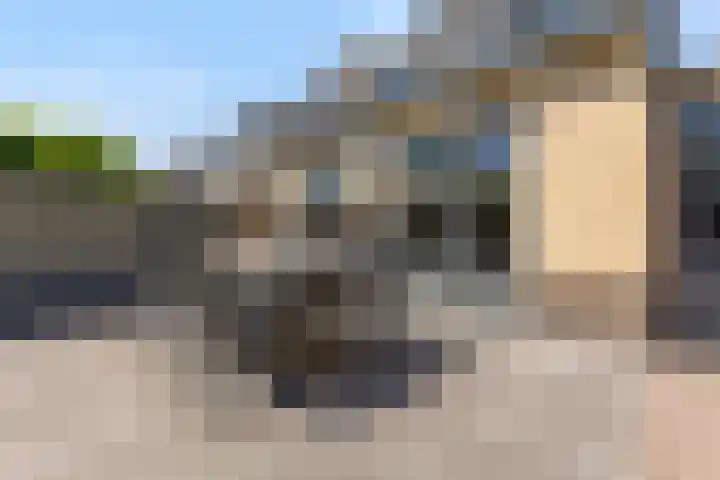 Kolenbranderslaan 16 Voorthuizen thumbnail 28