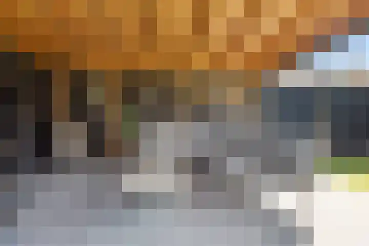 Kolenbranderslaan 16 Voorthuizen thumbnail 31