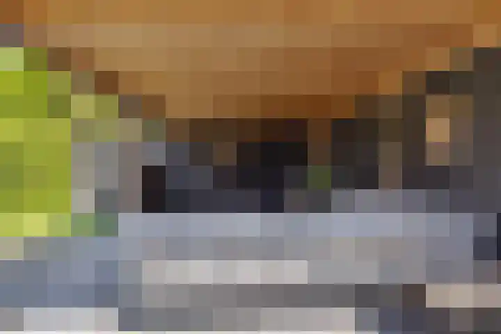 Kolenbranderslaan 16 Voorthuizen thumbnail 32