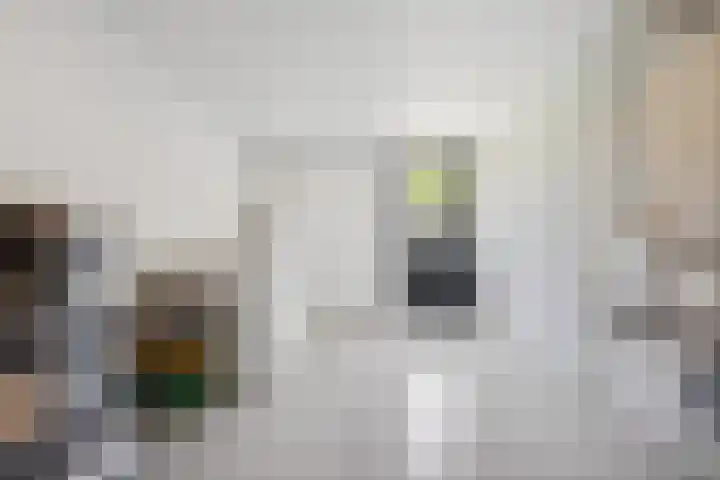 Kolenbranderslaan 16 Voorthuizen thumbnail 34