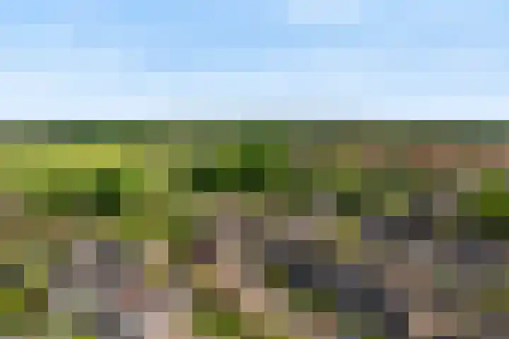 Kolenbranderslaan 16 Voorthuizen thumbnail 38