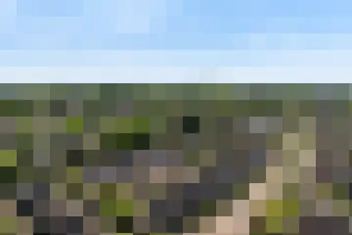 Kolenbranderslaan 16 Voorthuizen thumbnail 39