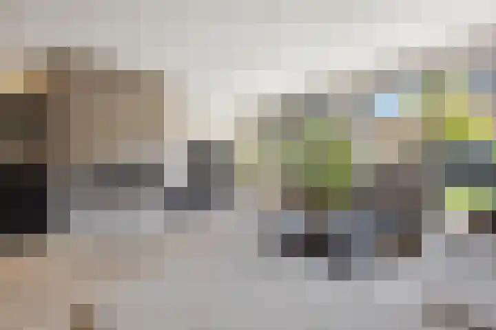 Kolenbranderslaan 16 Voorthuizen thumbnail 4