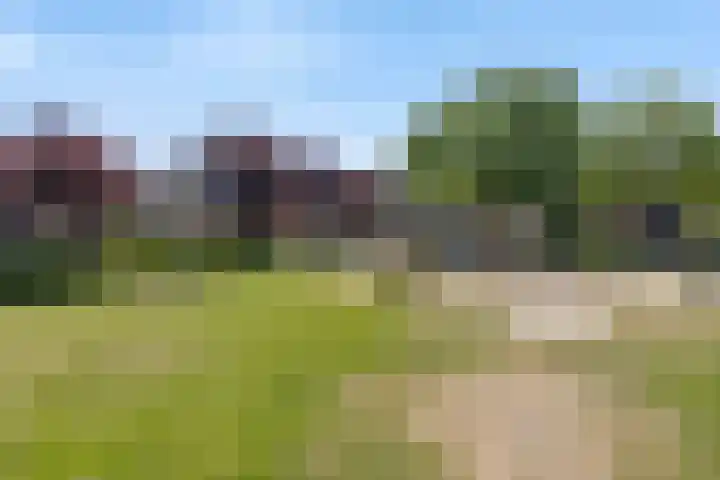 Kolenbranderslaan 16 Voorthuizen thumbnail 40