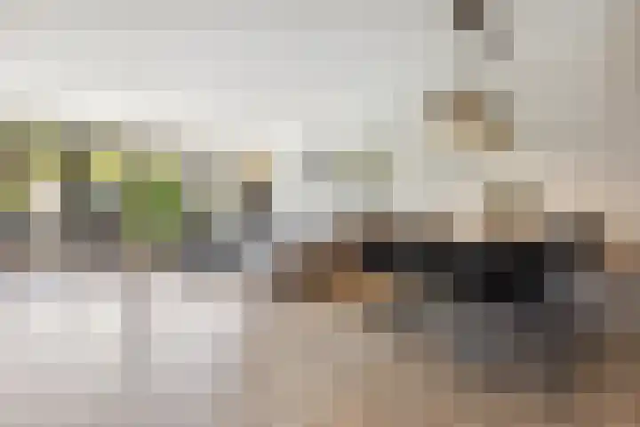 Kolenbranderslaan 16 Voorthuizen thumbnail 7