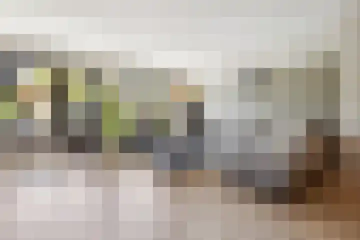 Kolenbranderslaan 16 Voorthuizen thumbnail 8