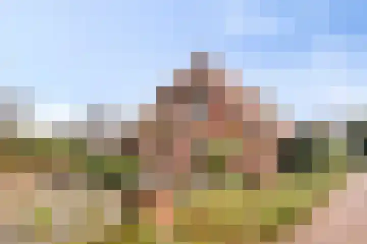Kolenbranderweg 8 Haaksbergen thumbnail 7