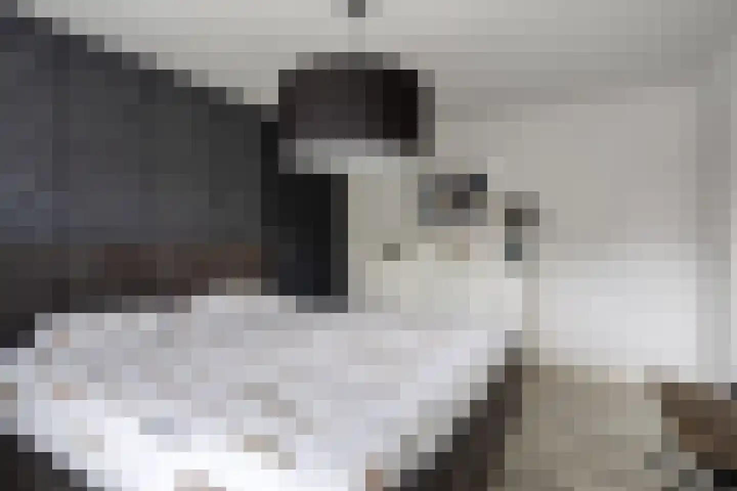 Kolenbranderwei 12 Valkenswaard thumbnail 13
