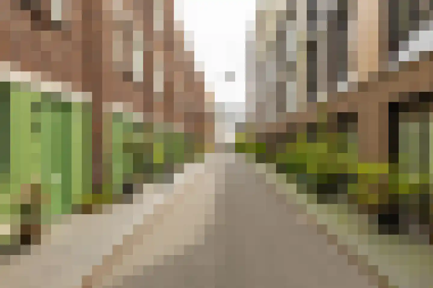 Kolendwarsstraat 17 Groningen