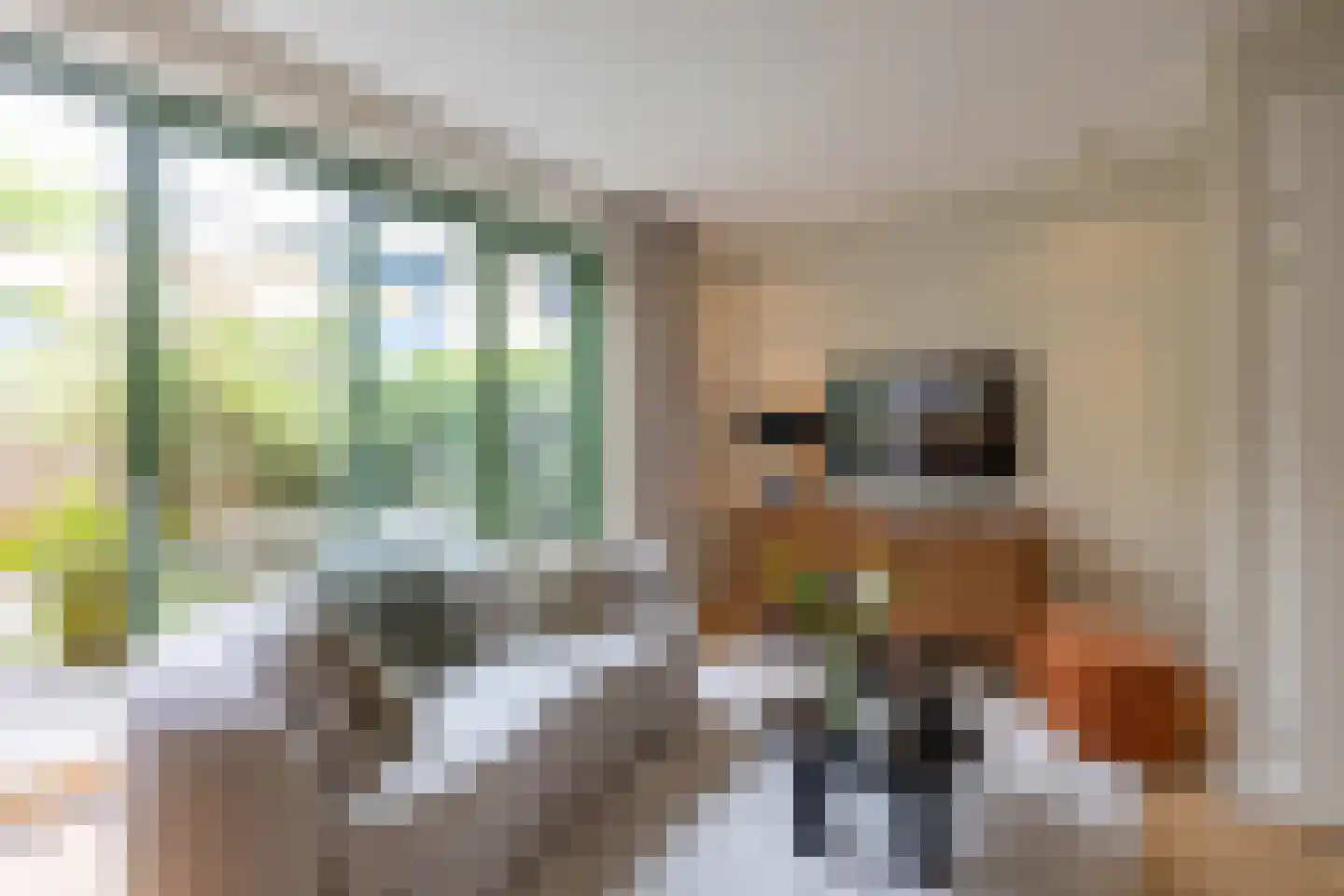 Kolendwarsstraat 17 Groningen thumbnail 14